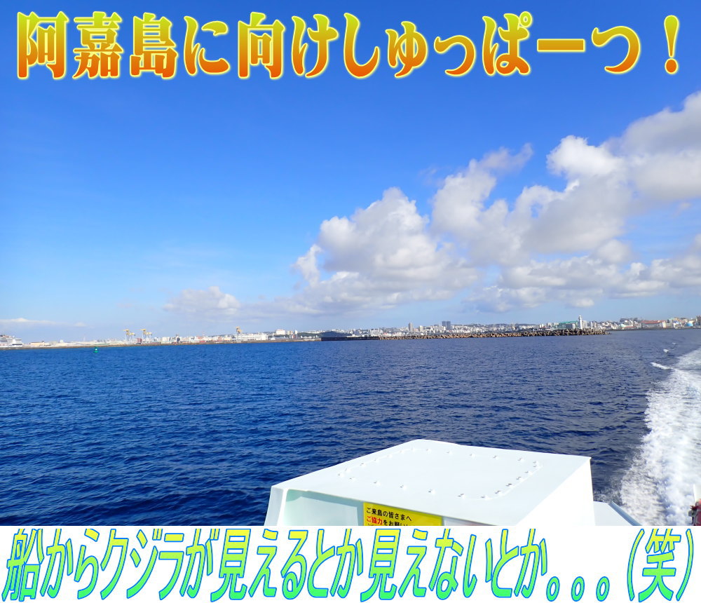 サンゴ再生移植_FUNダイビング_阿嘉島/イオ江坂