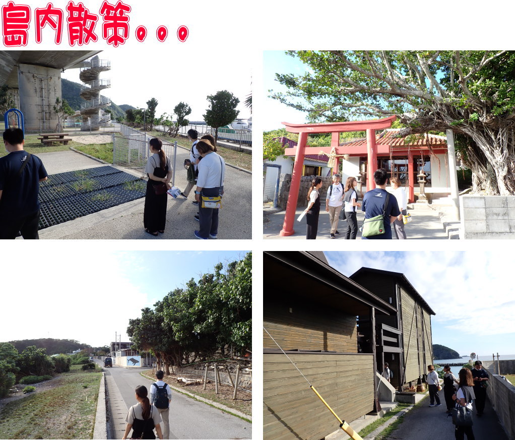 サンゴ再生移植_FUNダイビング_阿嘉島/イオ江坂