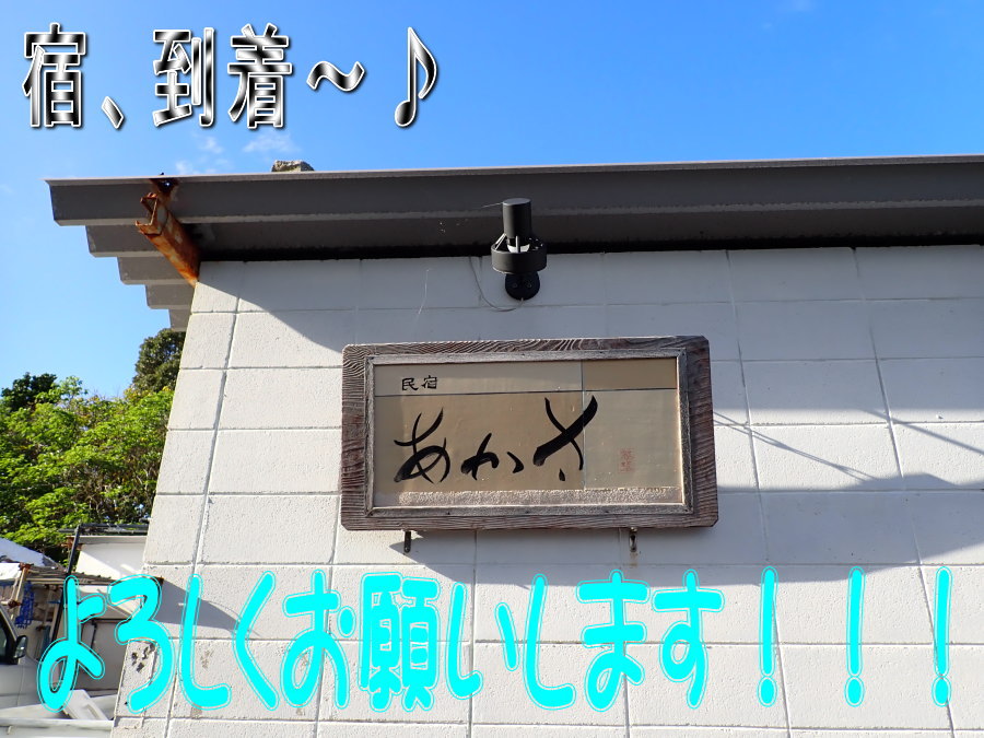 サンゴ再生移植_FUNダイビング_阿嘉島/イオ江坂