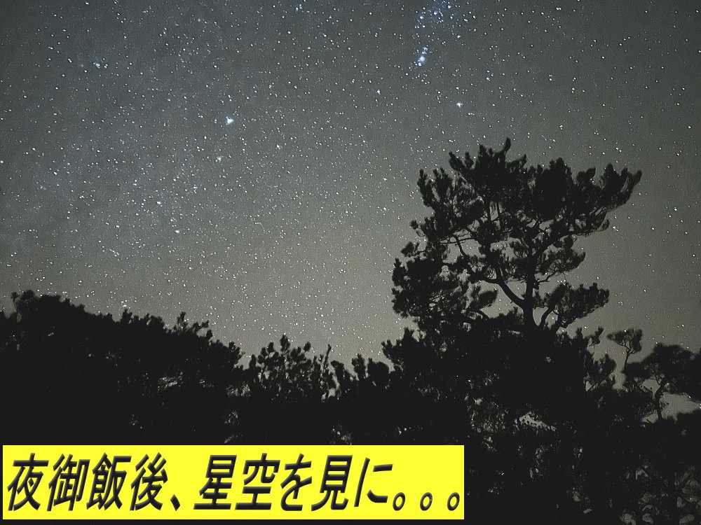 サンゴ再生移植_FUNダイビング_阿嘉島/イオ江坂
