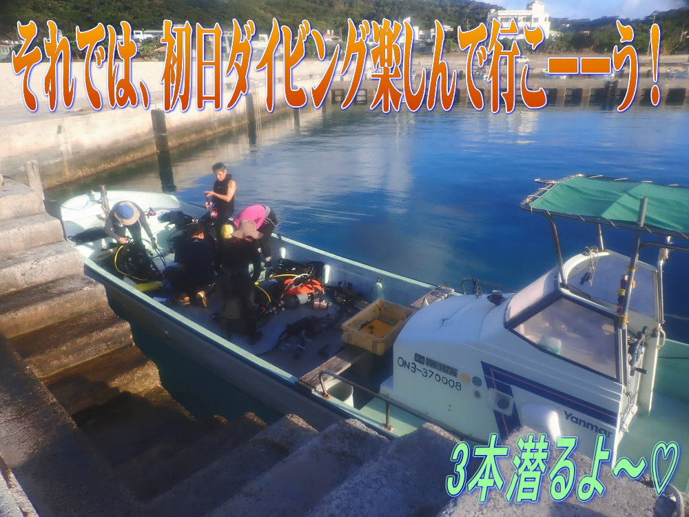 サンゴ再生移植_FUNダイビング_阿嘉島/イオ江坂