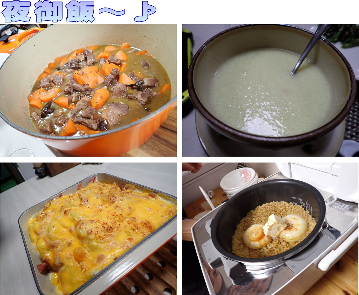 サンゴ再生移植_FUNダイビング_阿嘉島/イオ江坂