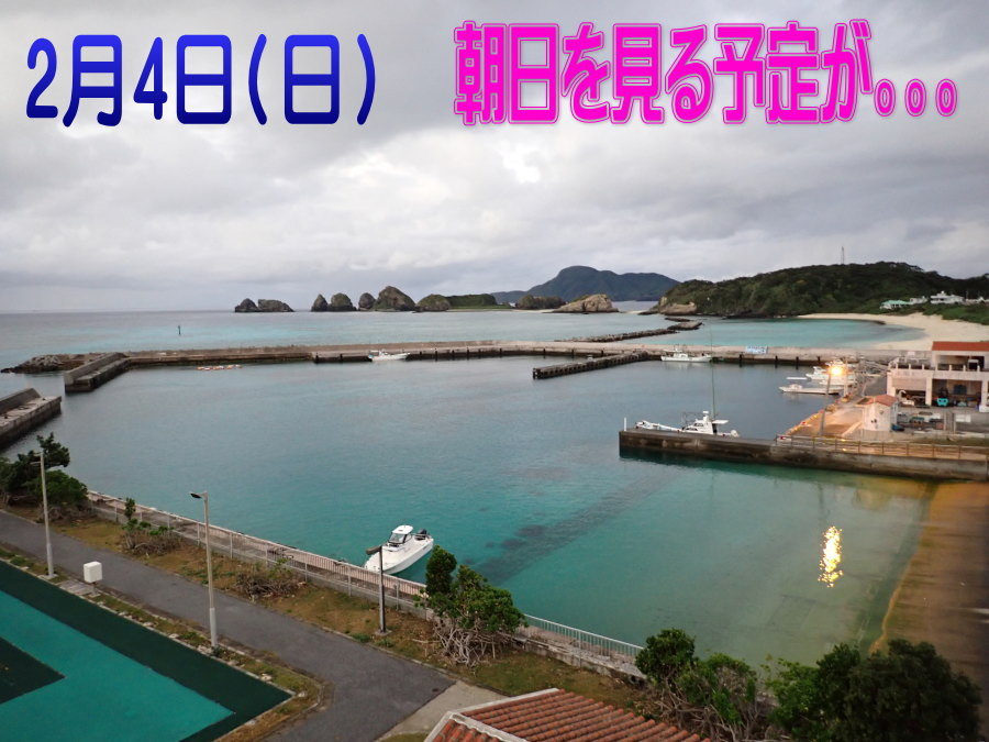 サンゴ再生移植_FUNダイビング_阿嘉島/イオ江坂