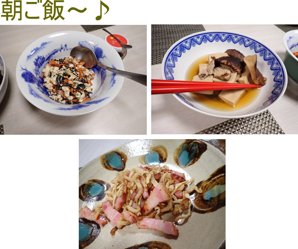 サンゴ再生移植_FUNダイビング_阿嘉島/イオ江坂