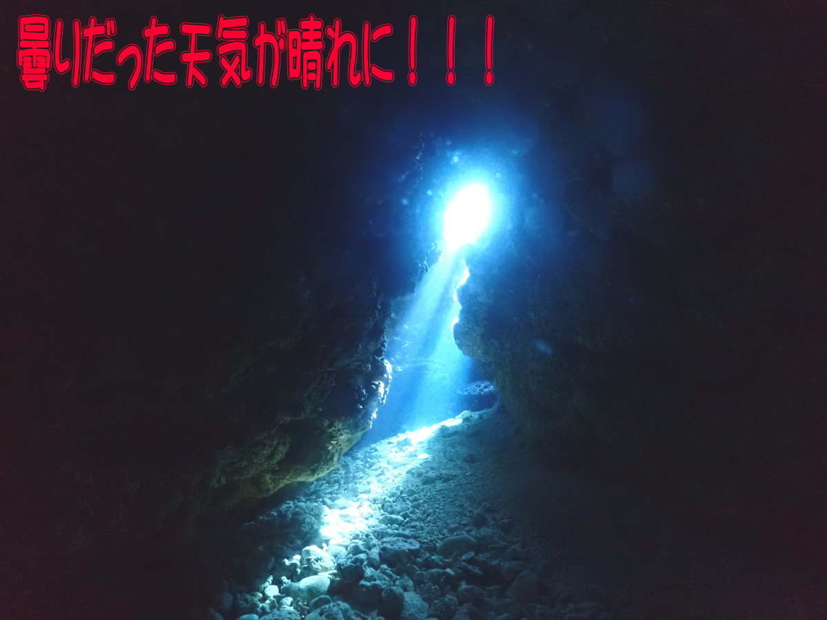 サンゴ再生移植_FUNダイビング_阿嘉島/イオ江坂