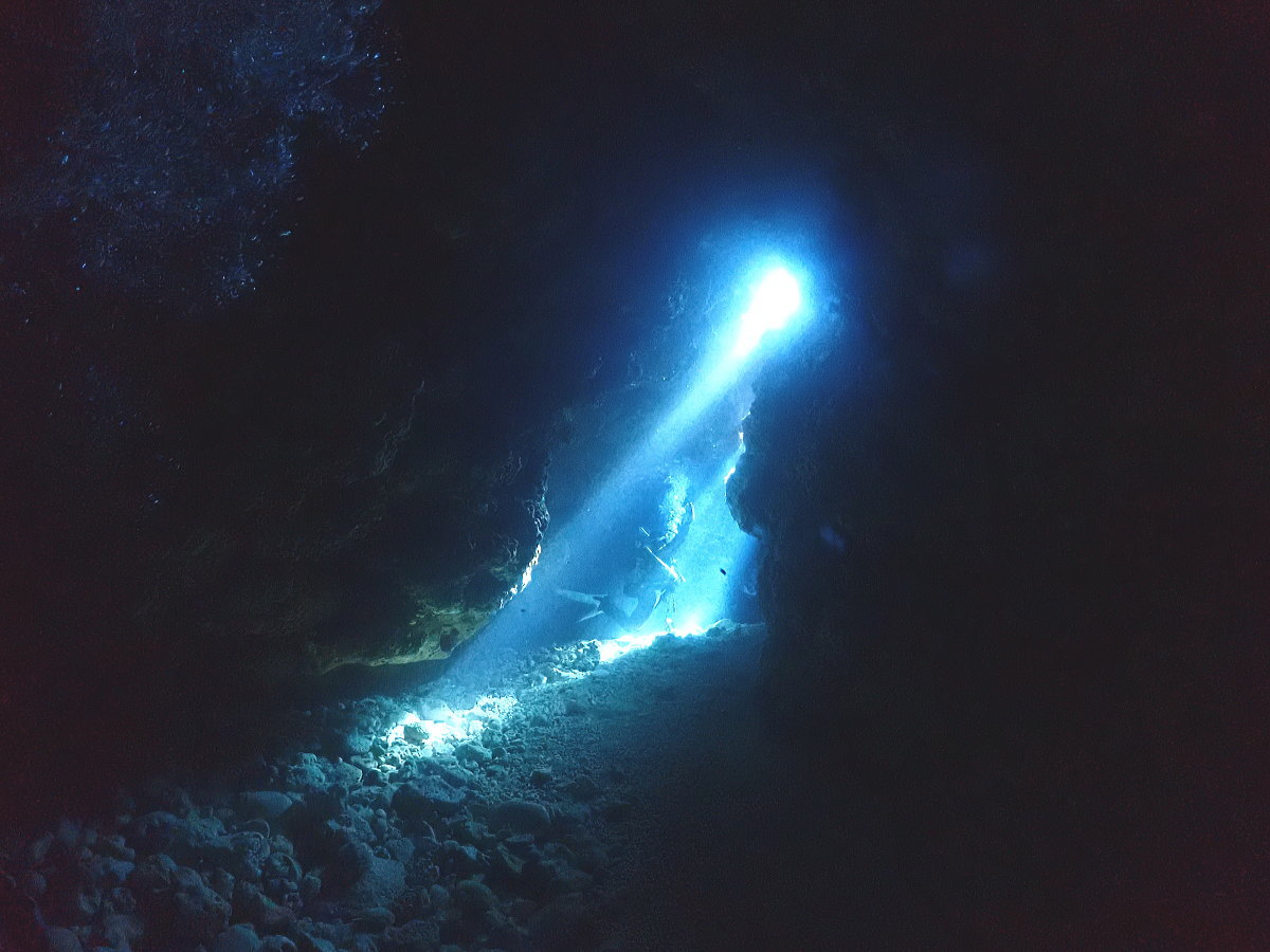 サンゴ再生移植_FUNダイビング_阿嘉島/イオ江坂