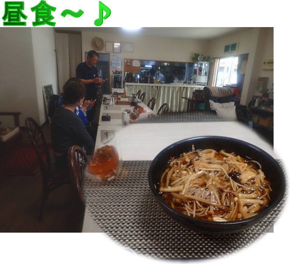 サンゴ再生移植_FUNダイビング_阿嘉島/イオ江坂