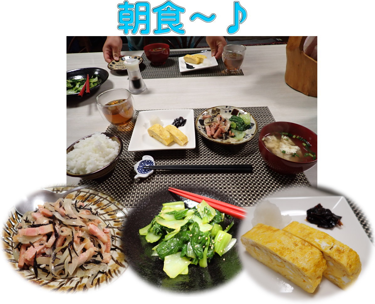 サンゴ再生移植_FUNダイビング_阿嘉島/イオ江坂