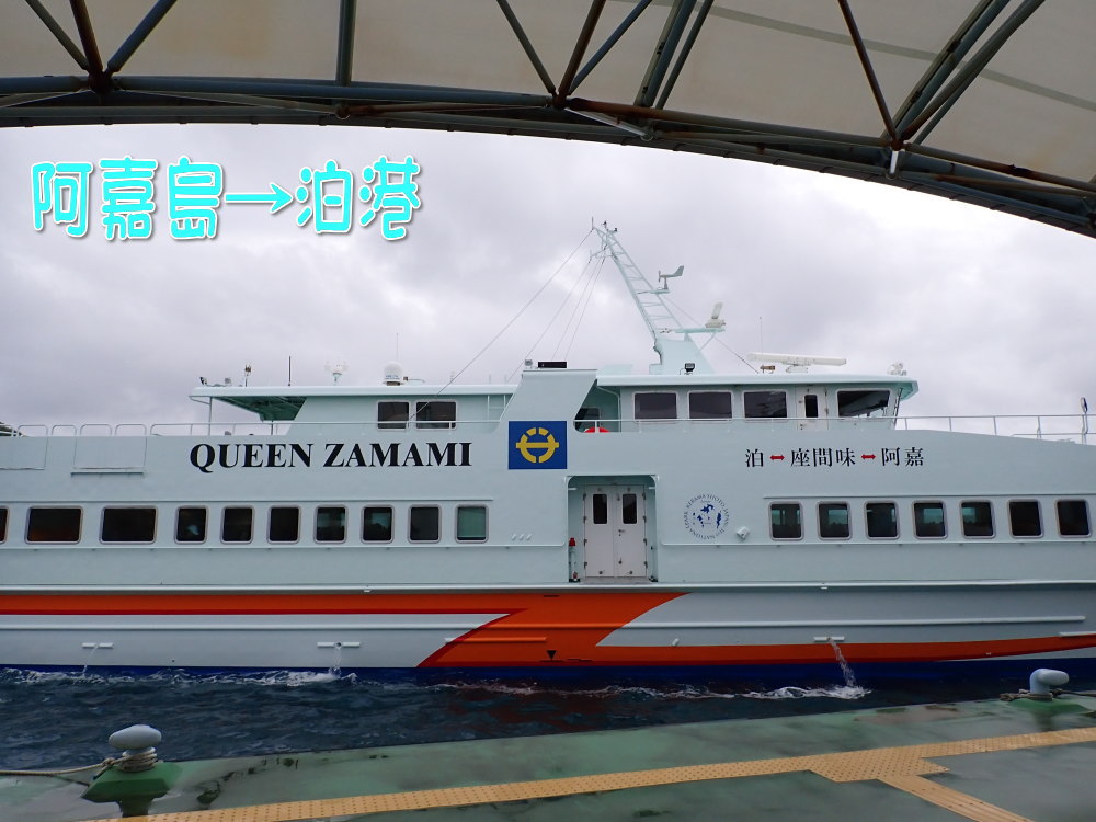 サンゴ再生移植_FUNダイビング_阿嘉島/イオ江坂