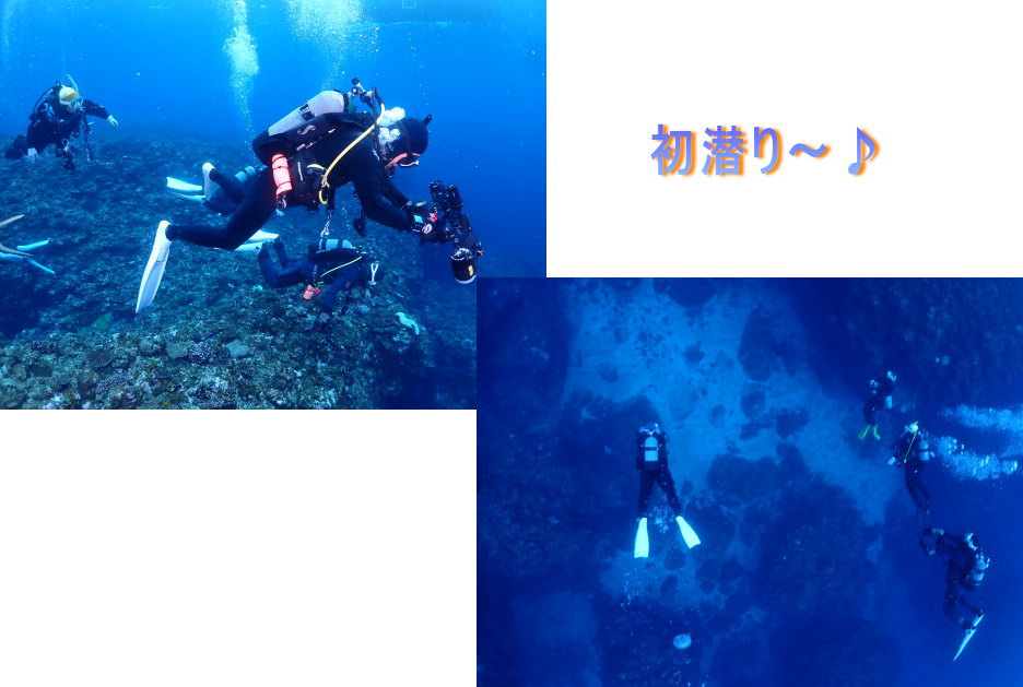 久米島ダイビング