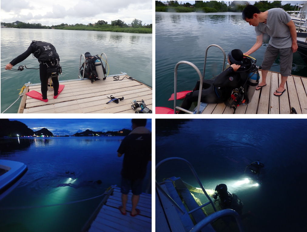 palau diving tour