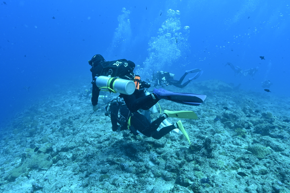palau diving tour