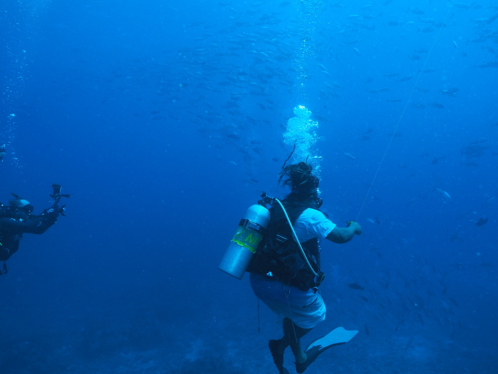 palau diving tour