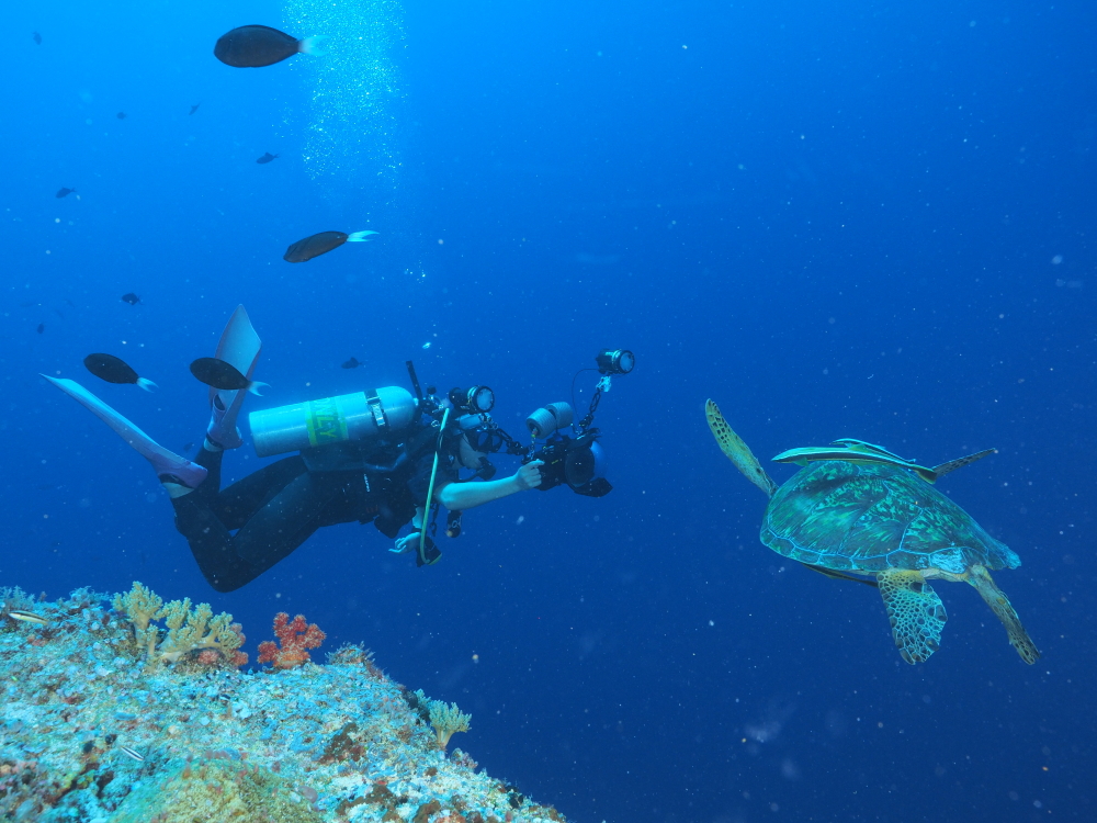 palau diving tour