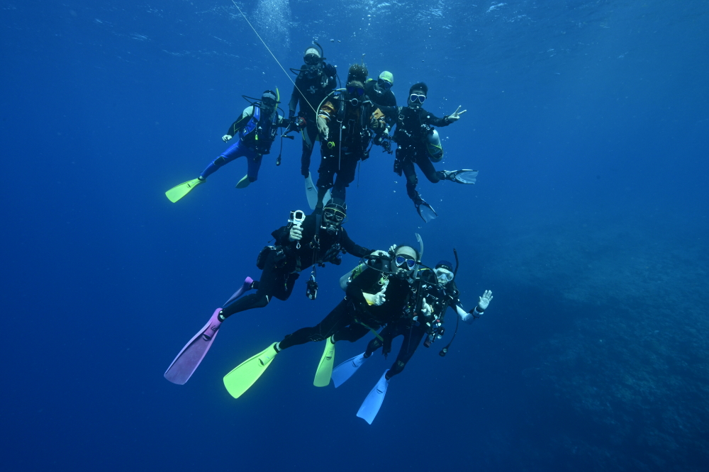palau diving tour
