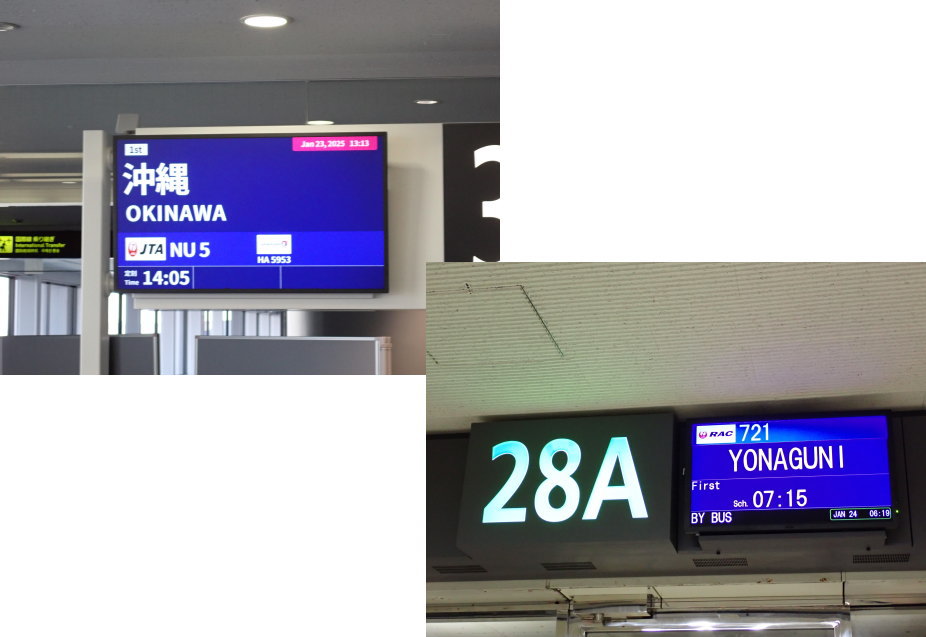 与那国ダイビング