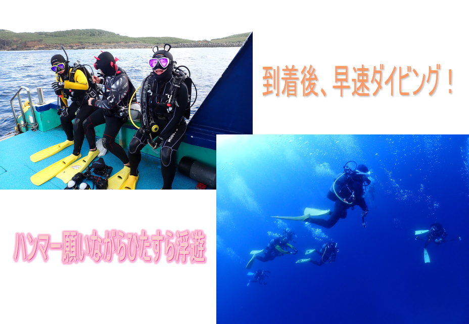 与那国ダイビング