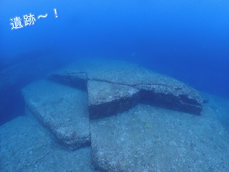 与那国ダイビング