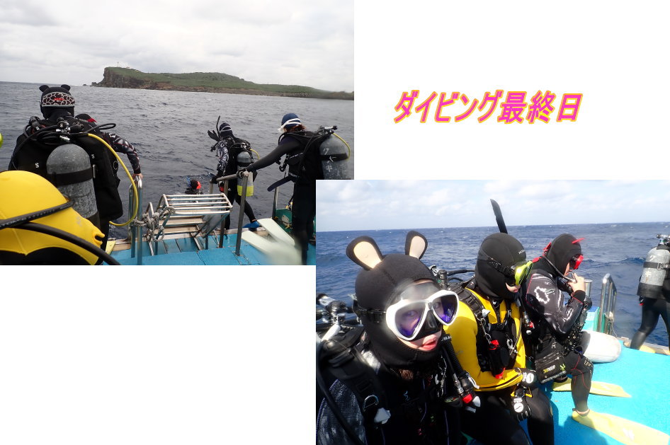 与那国ダイビング