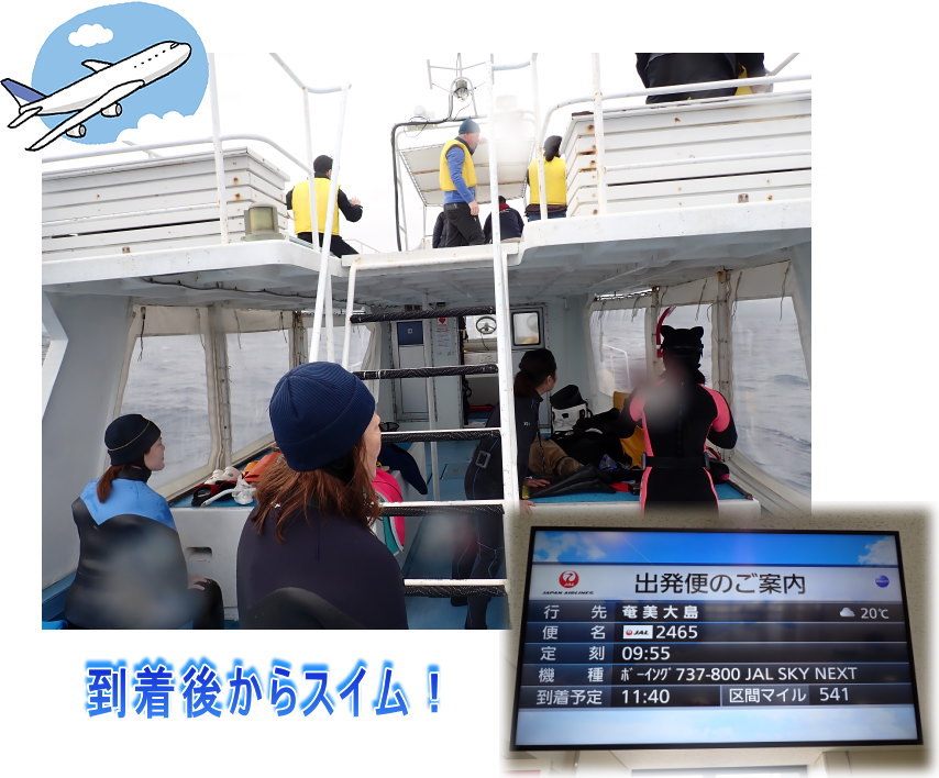 ホエールツアー