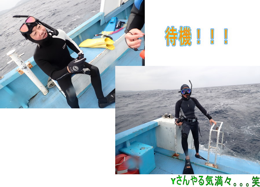 ホエールツアー