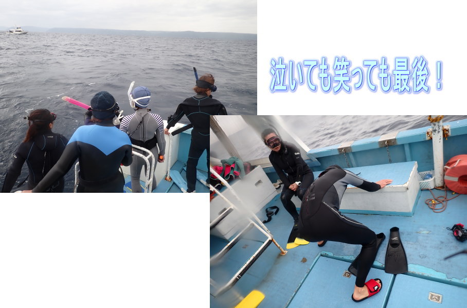 ホエールツアー