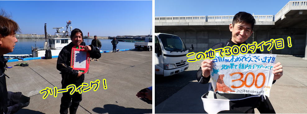 稚内ダイビング