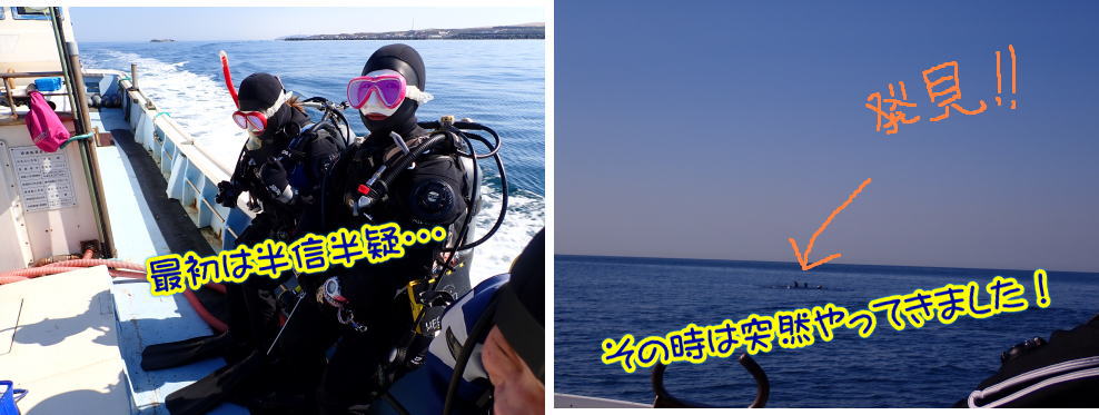 稚内ダイビング