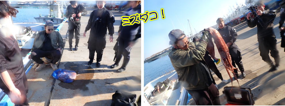 稚内ダイビング