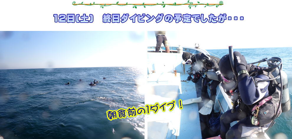 稚内ダイビング