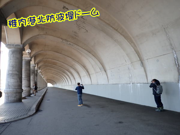 稚内ダイビング