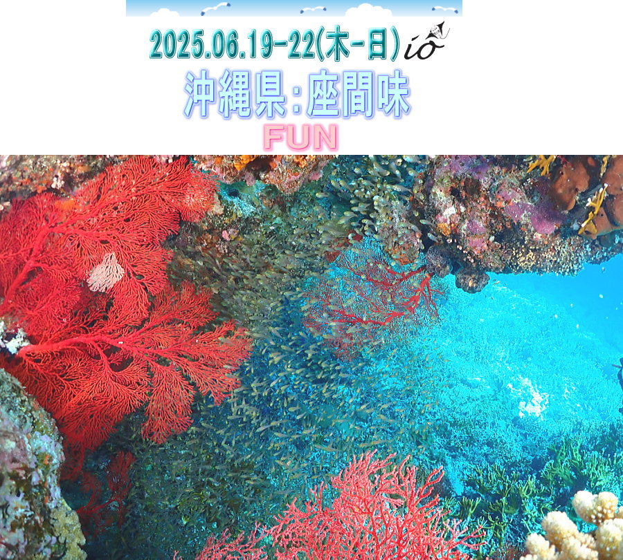 座間味ダイビング