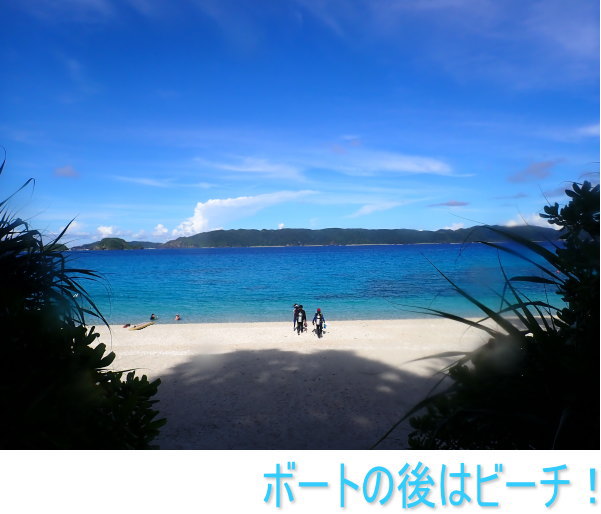 座間味ダイビング