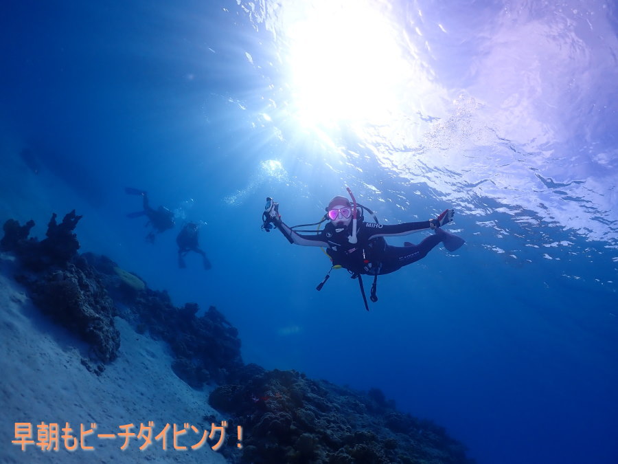 座間味ダイビング