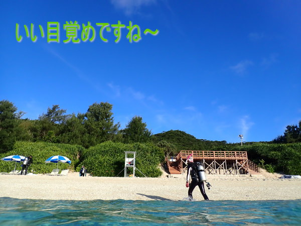 座間味ダイビング