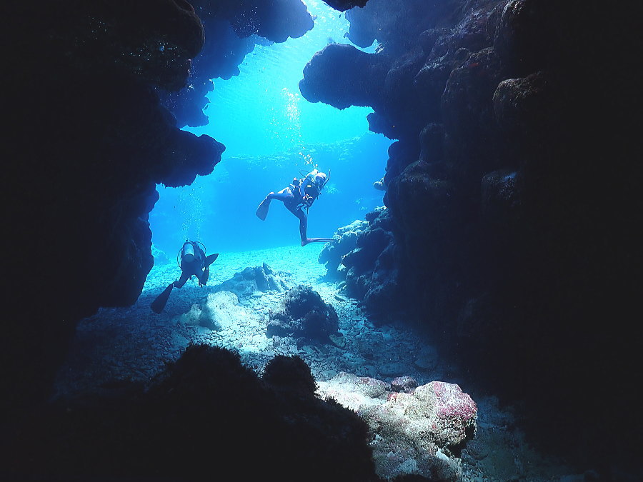 座間味ダイビング