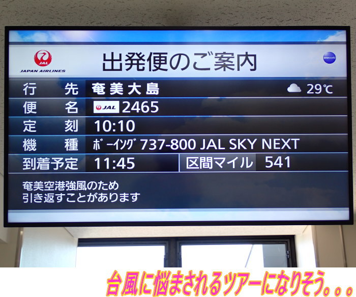 奄美ダイビング