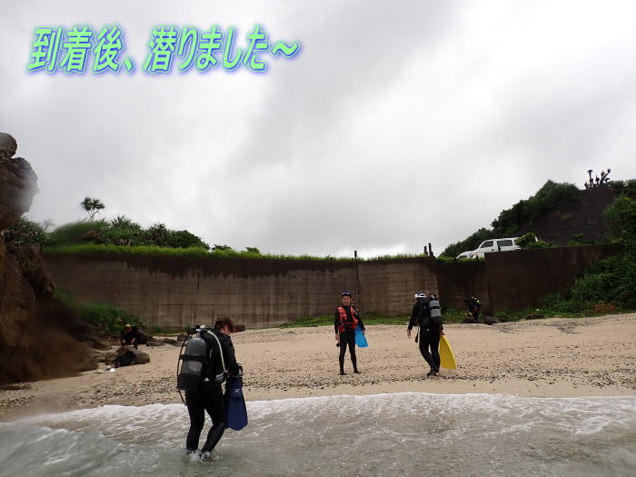 奄美ダイビング