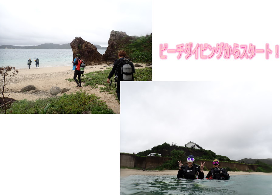 奄美ダイビング