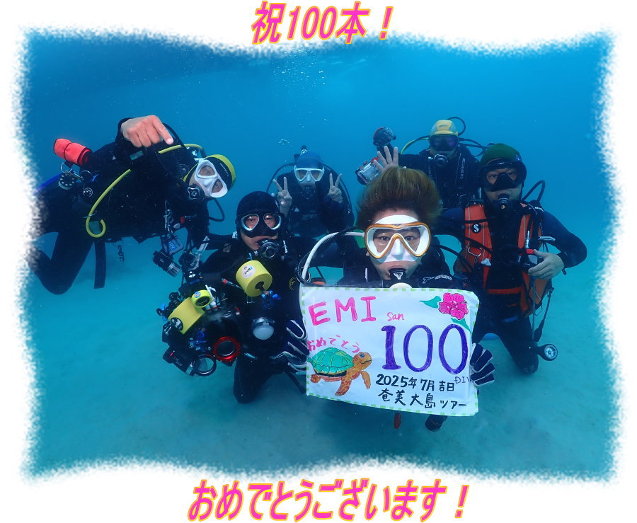 奄美ダイビング