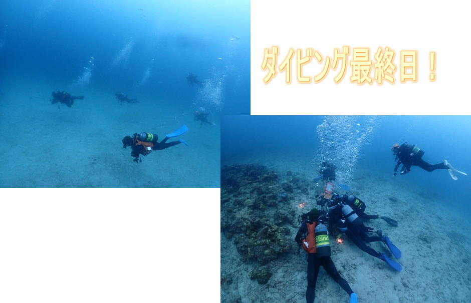 奄美ダイビング