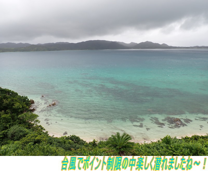 奄美ダイビング