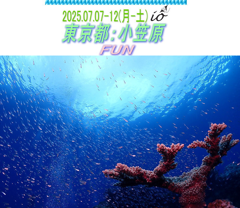 小笠原ダイビング