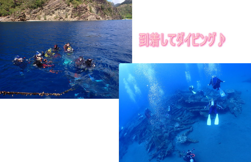 小笠原ダイビング