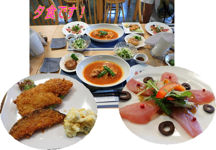 小笠原ダイビング