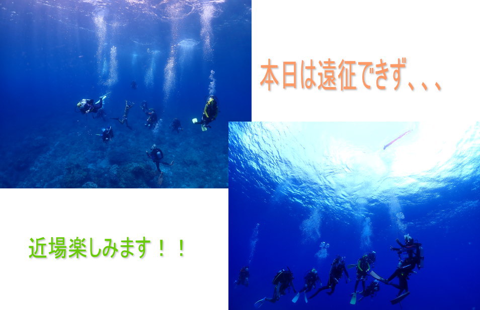 小笠原ダイビング