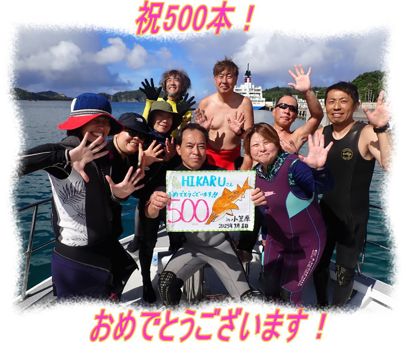 小笠原ダイビング