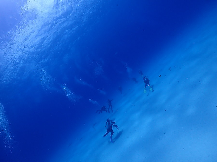 小笠原ダイビング