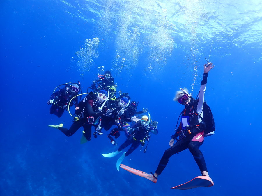 小笠原ダイビング