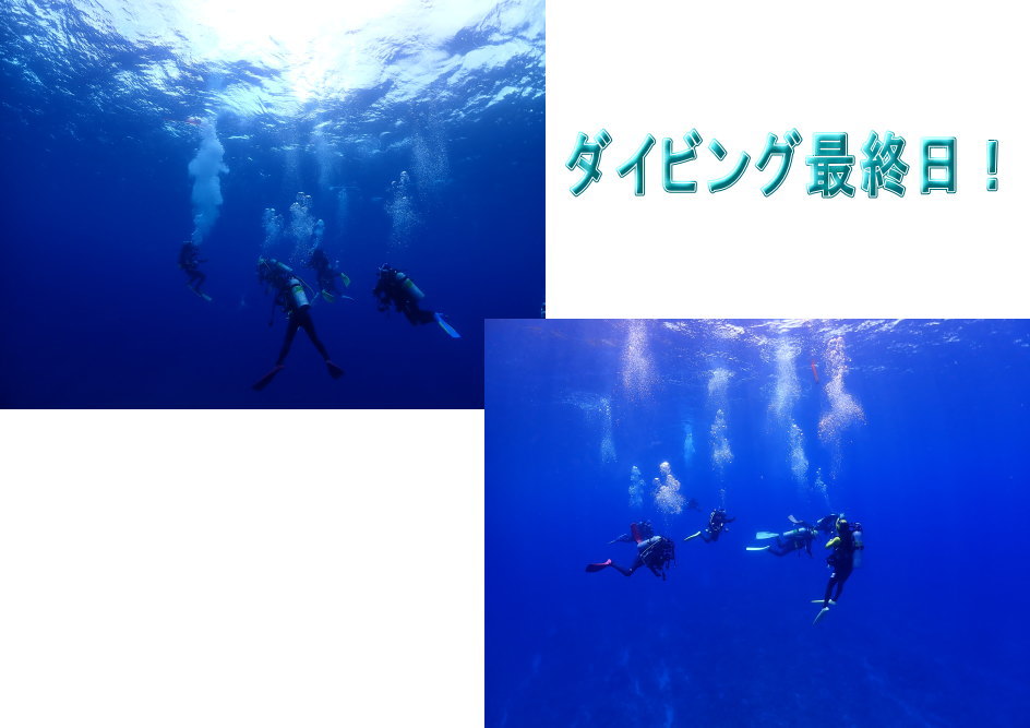 小笠原ダイビング